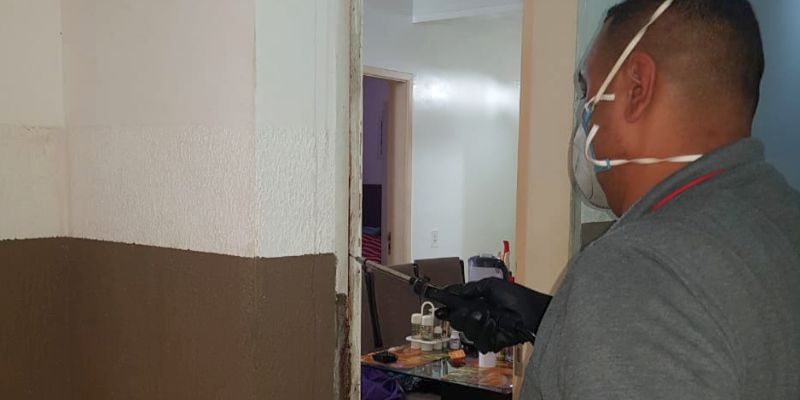 Dedetização e controle de pragas em Cravinhos